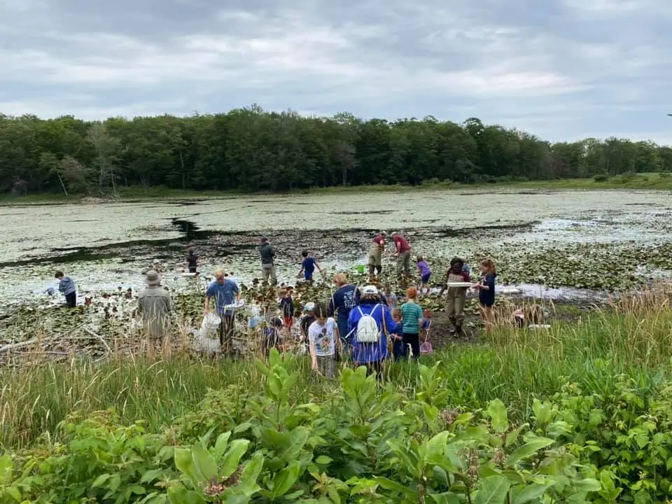 Children and adults gather beside a lily-pad-covered pond amid grasses and forest.
