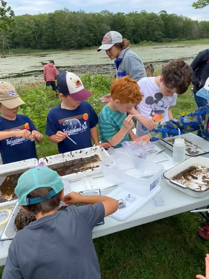 Children and adults examine trays of natural material at a table beside a vegetation-covered pond.