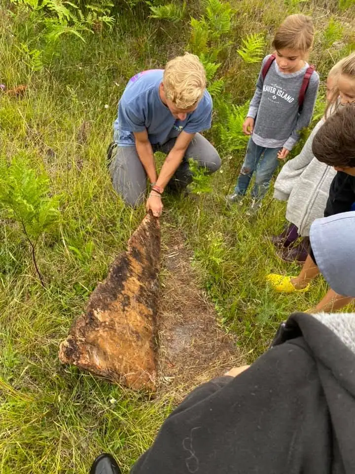 An adult and several children examine and lift a large rough triangular object in a grassy, fern-covered area.