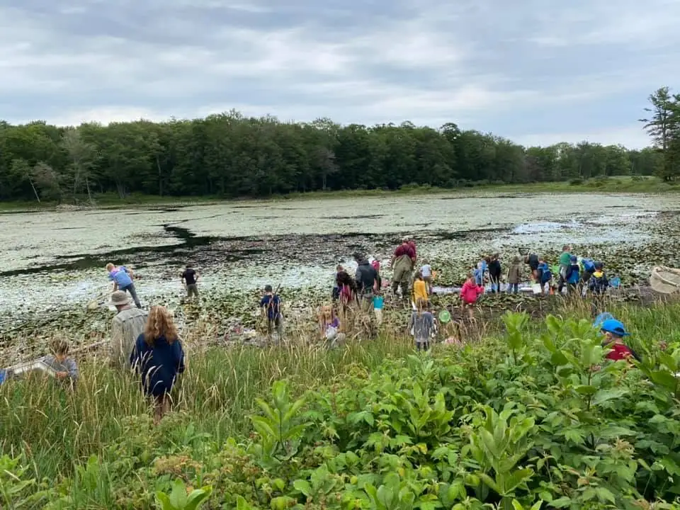 A group of adults and children gathers among dense vegetation beside a pond covered with lily pads.