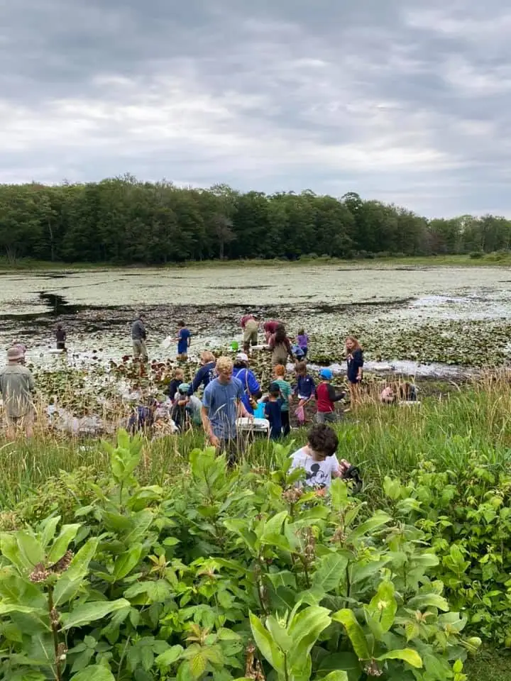 Adults and children gather beside a lily-pad-covered pond in a grassy, wooded setting.