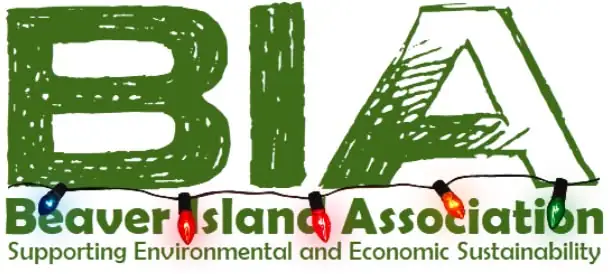 Green organizational logo with large initials, colorful holiday lights, and two lines of printed text.