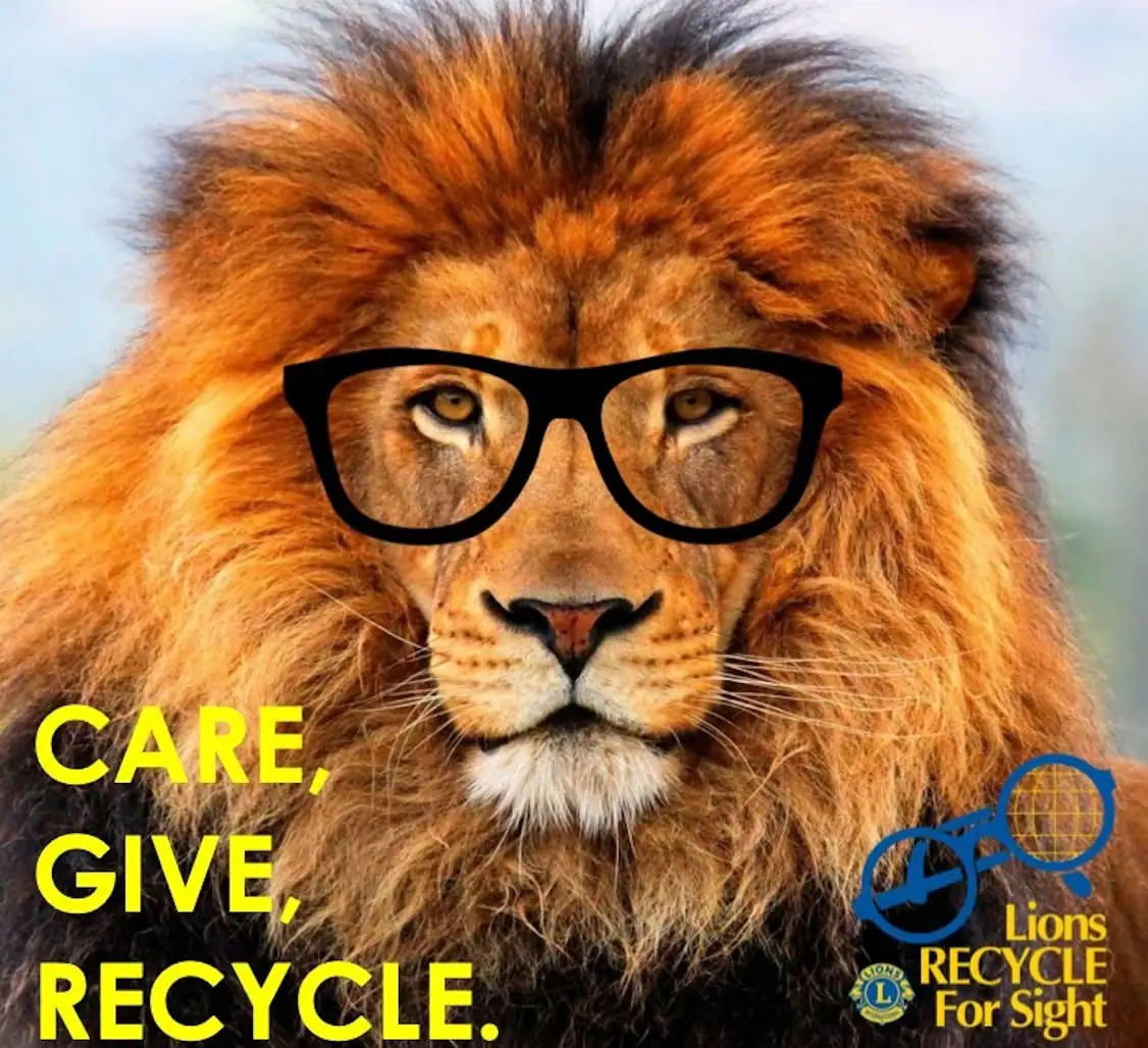 Close-up of a lion wearing black eyeglasses beside a Lions recycling message.