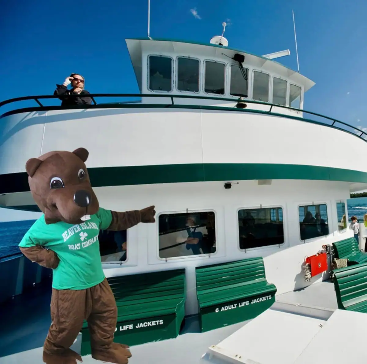 A bear mascot points toward the cabin of a white ferry with green benches labeled for adult life jackets.