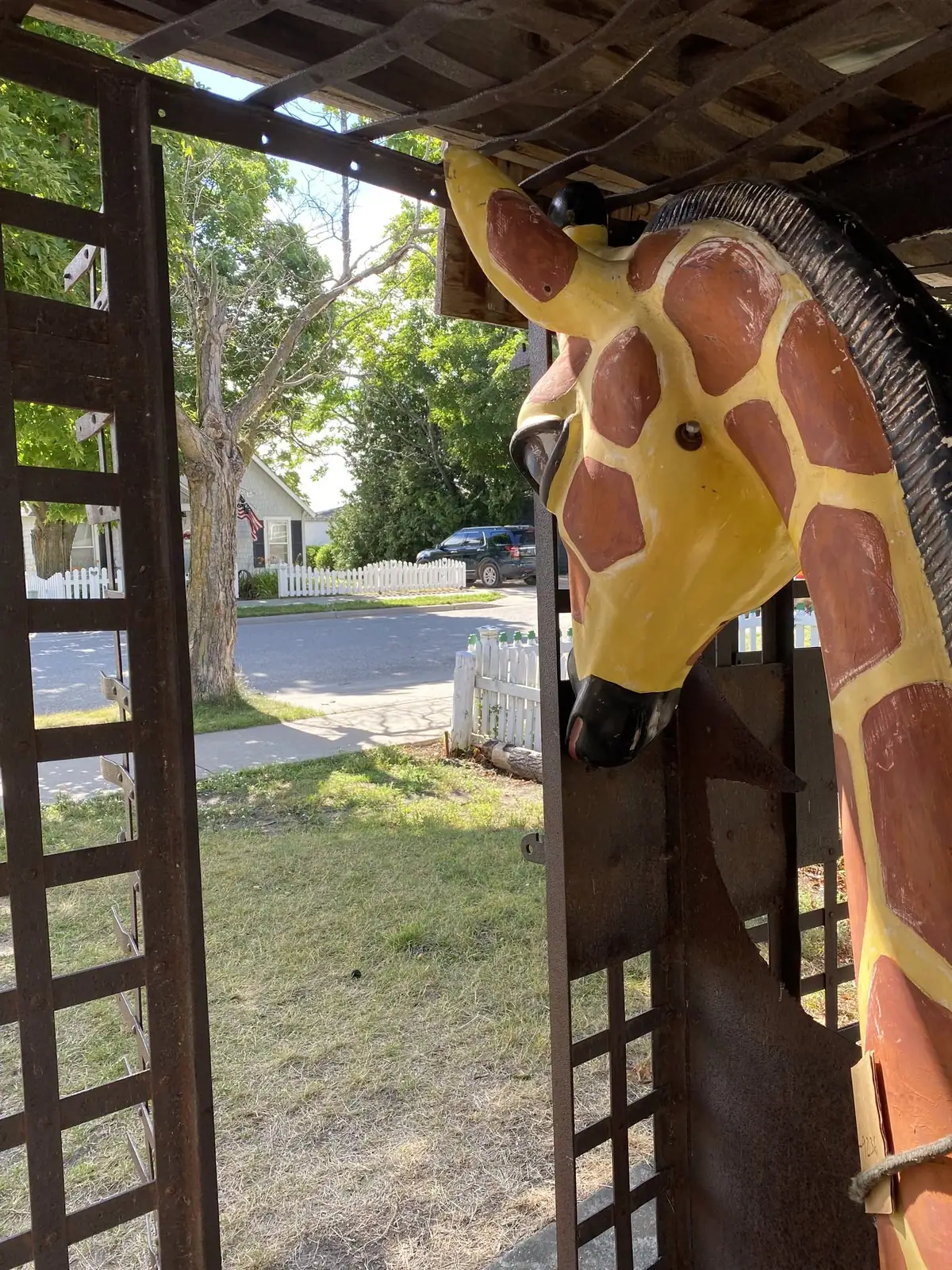 Painted giraffe sculpture stands inside a wooden barred structure beside a residential street.