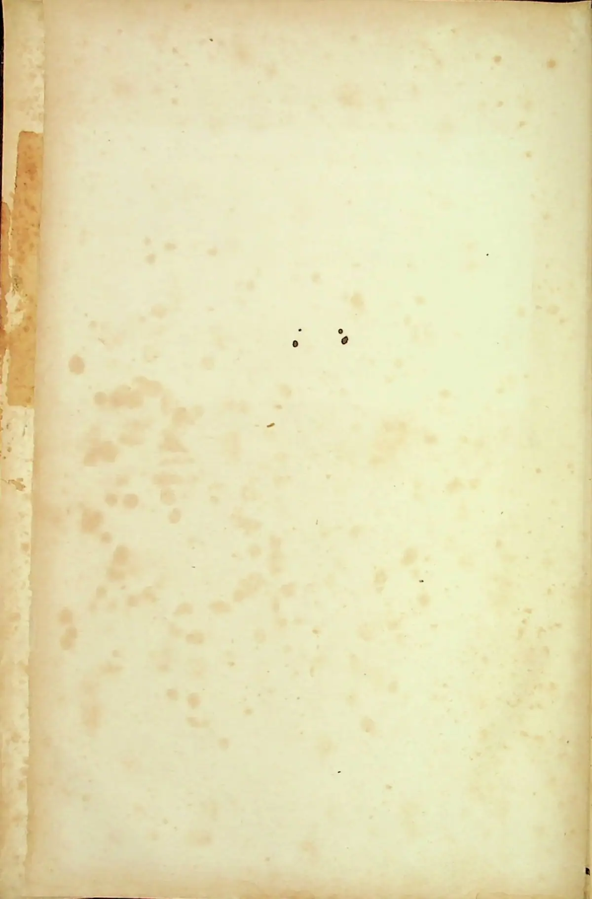 A blank, aged cream-colored page with stains, worn edges, and several small dark marks.