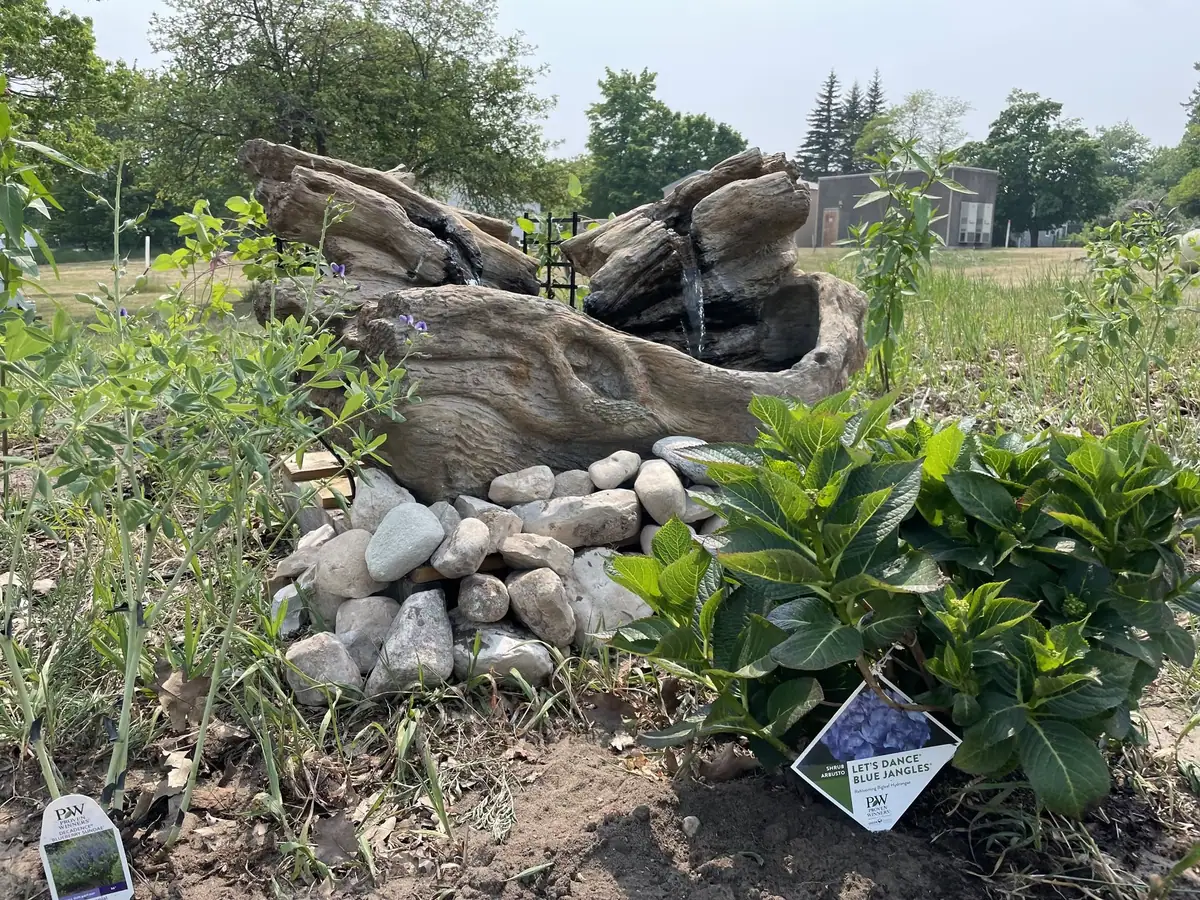 A weathered log water feature surrounded by stones and flowering plants in a landscaped garden.