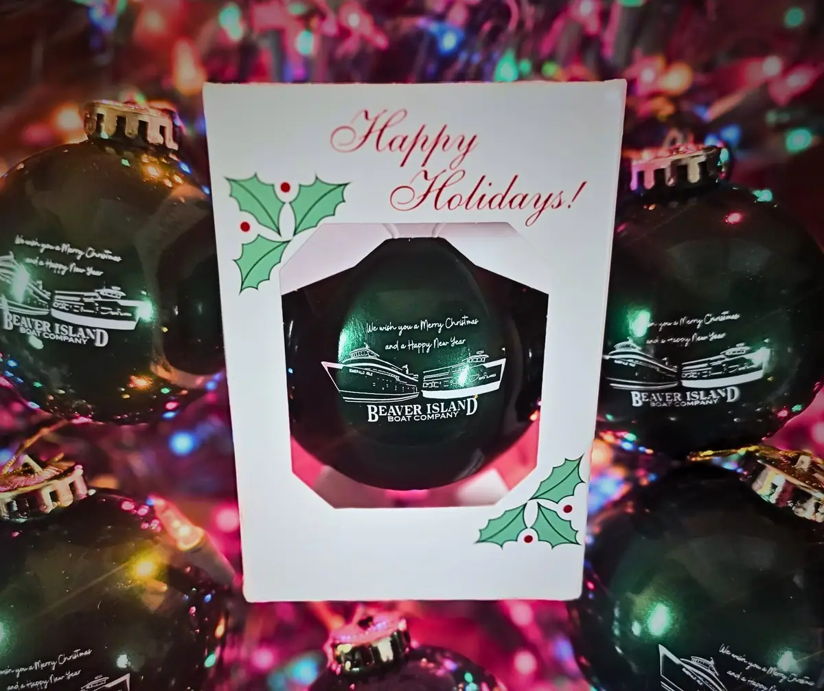 A holiday card and black decorated ornaments are arranged among colorful Christmas lights.