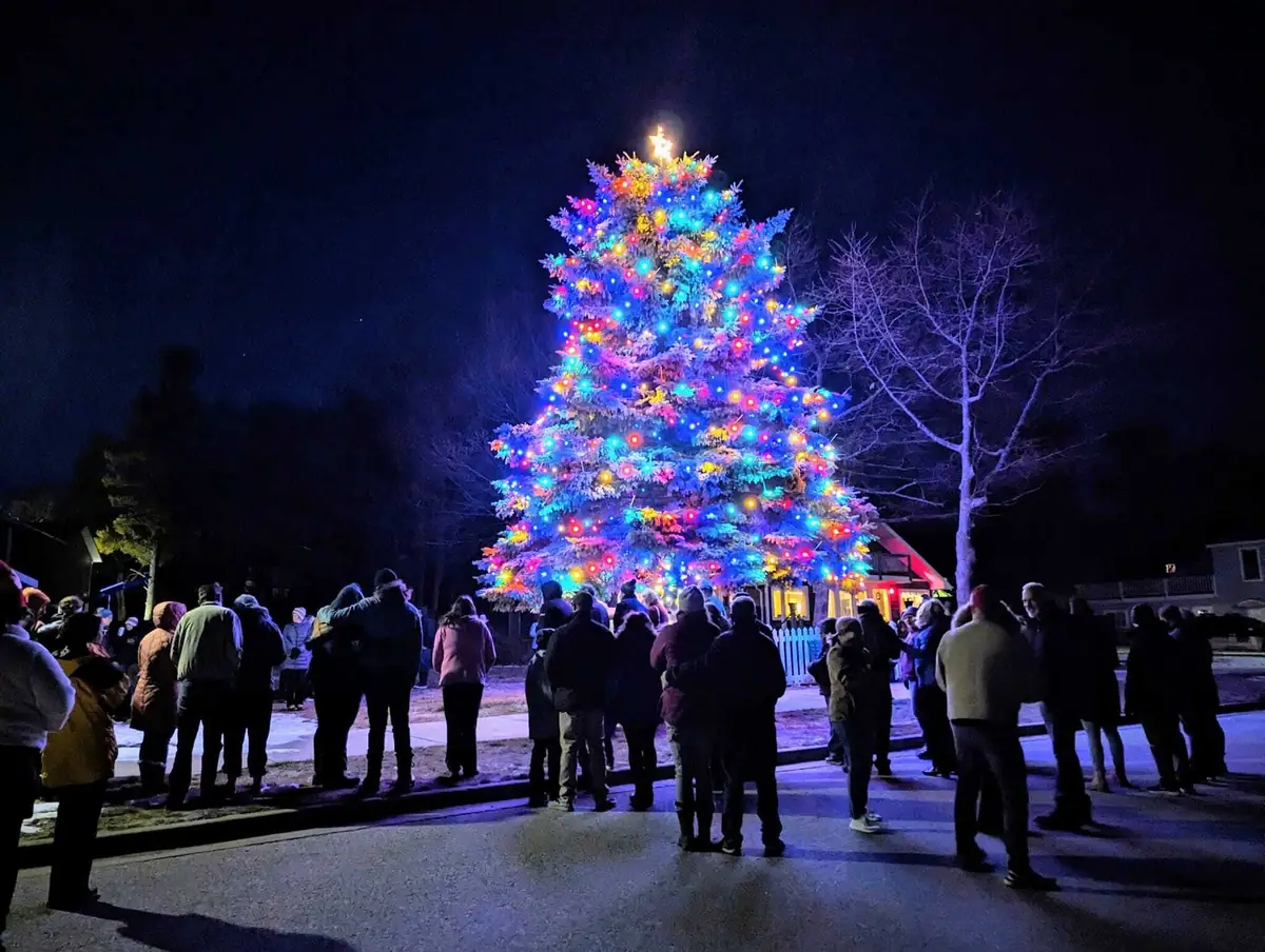 A brightly lit Christmas tree towers over a nighttime crowd gathered on a snowy street.