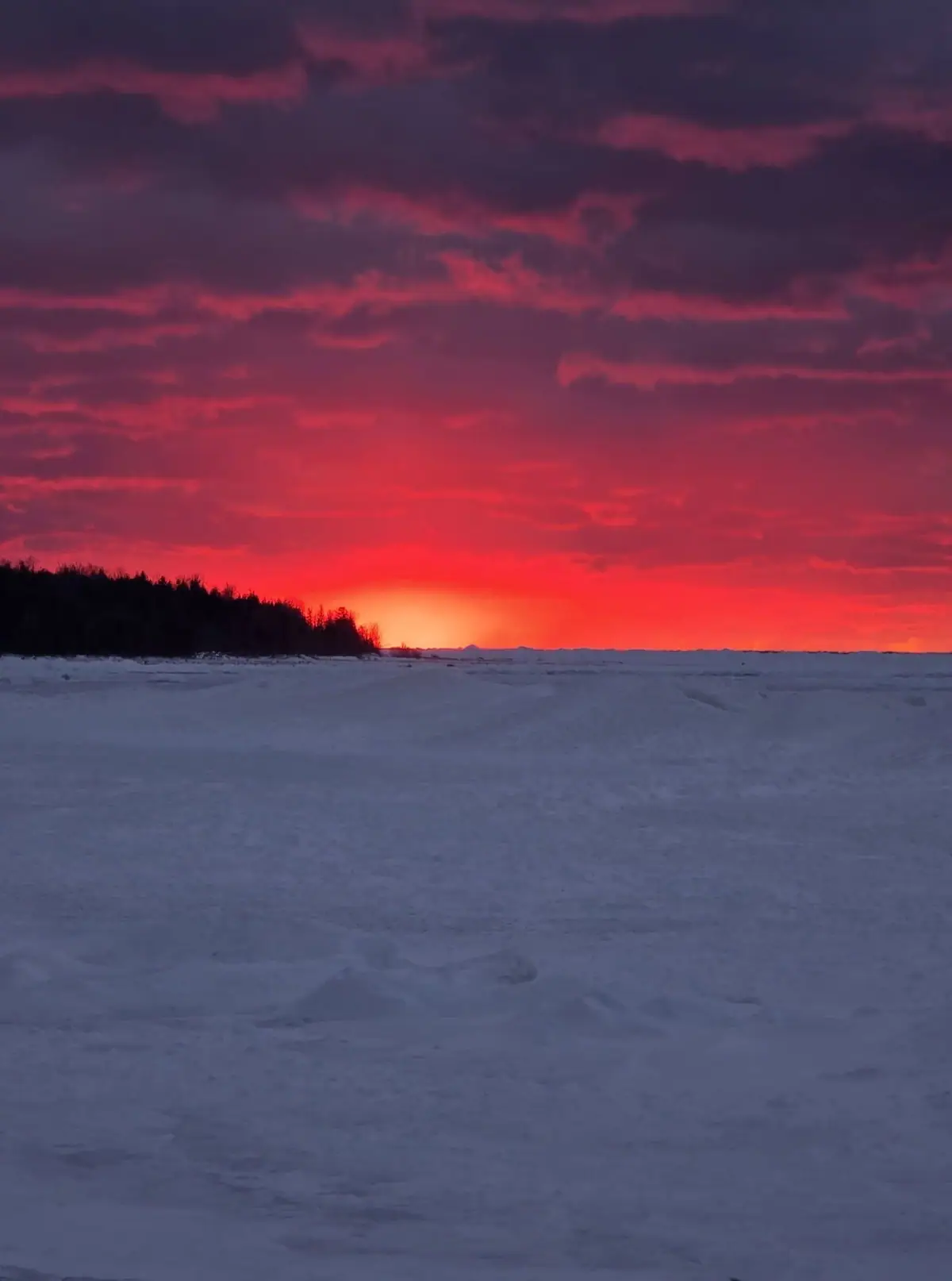 Snow-covered expanse and dark tree line beneath a vivid red and purple sunset sky.