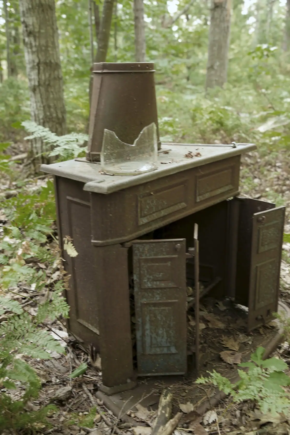 A rusted metal stove or cabinet with open doors and broken glass stands among trees and ferns.