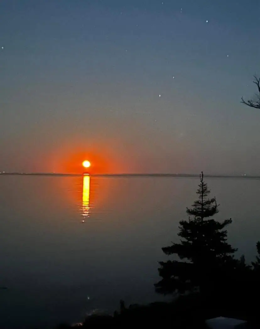 A low orange sun reflects across calm water beside a silhouetted evergreen tree.