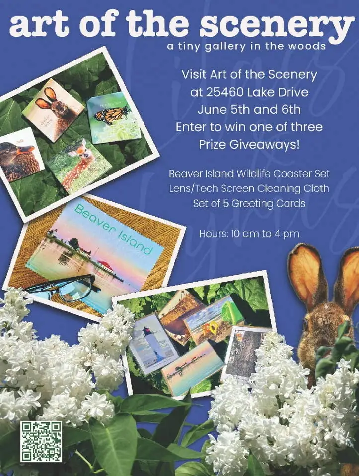 Promotional graphic for a small gallery featuring wildlife images, floral foliage, printed offers, and a QR code.