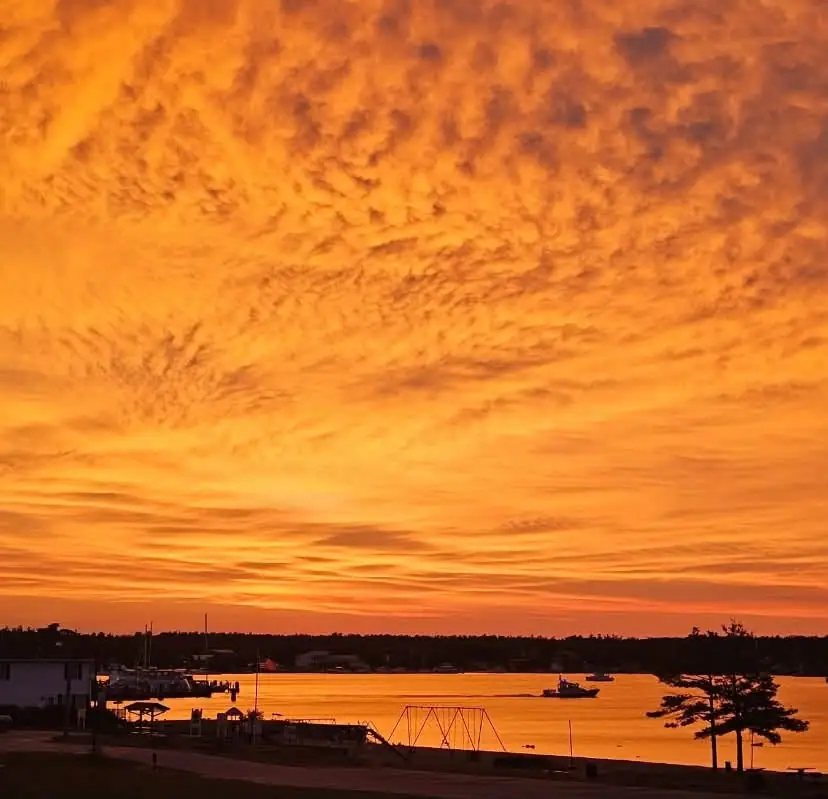 Sunset over a waterfront with silhouetted buildings, docks, boats, trees, and a small swing set.
