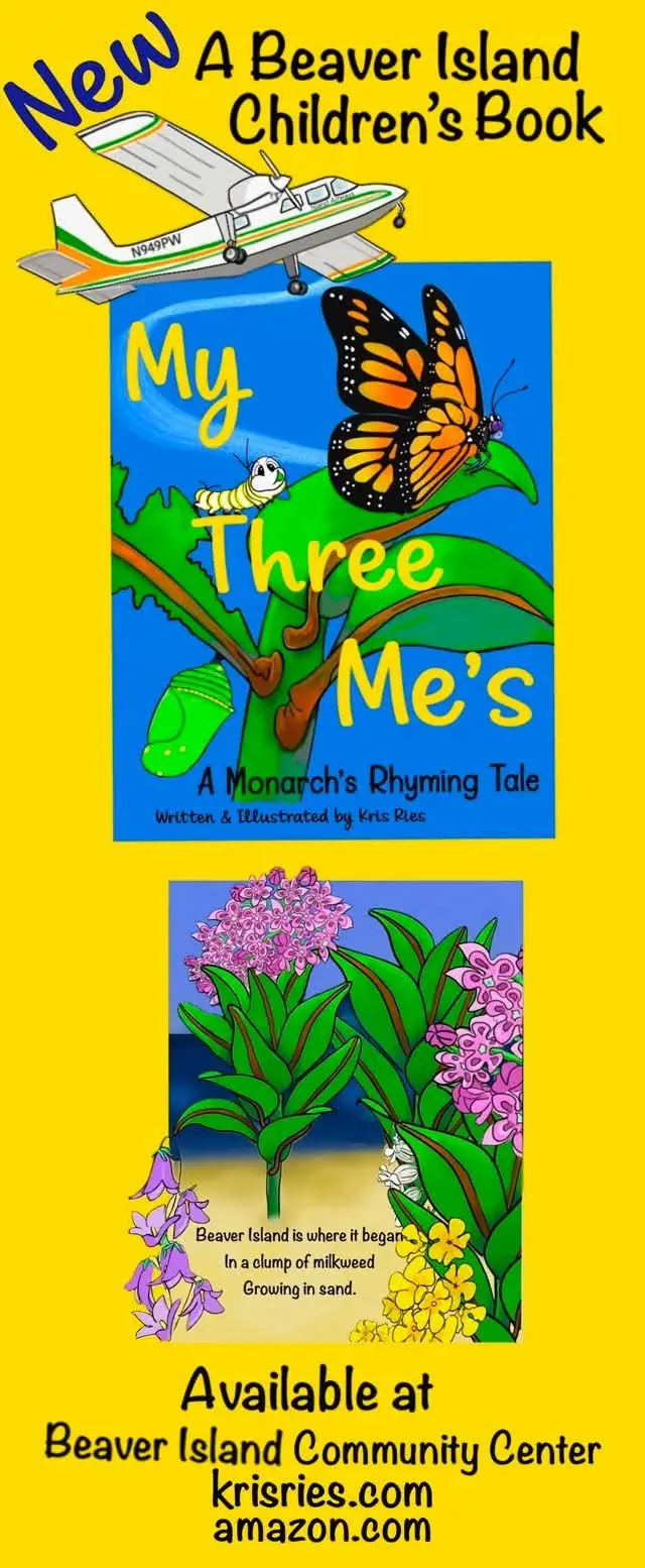 Colorful illustrated poster advertising a children's book with an airplane, monarch butterfly, caterpillar, and flowers.