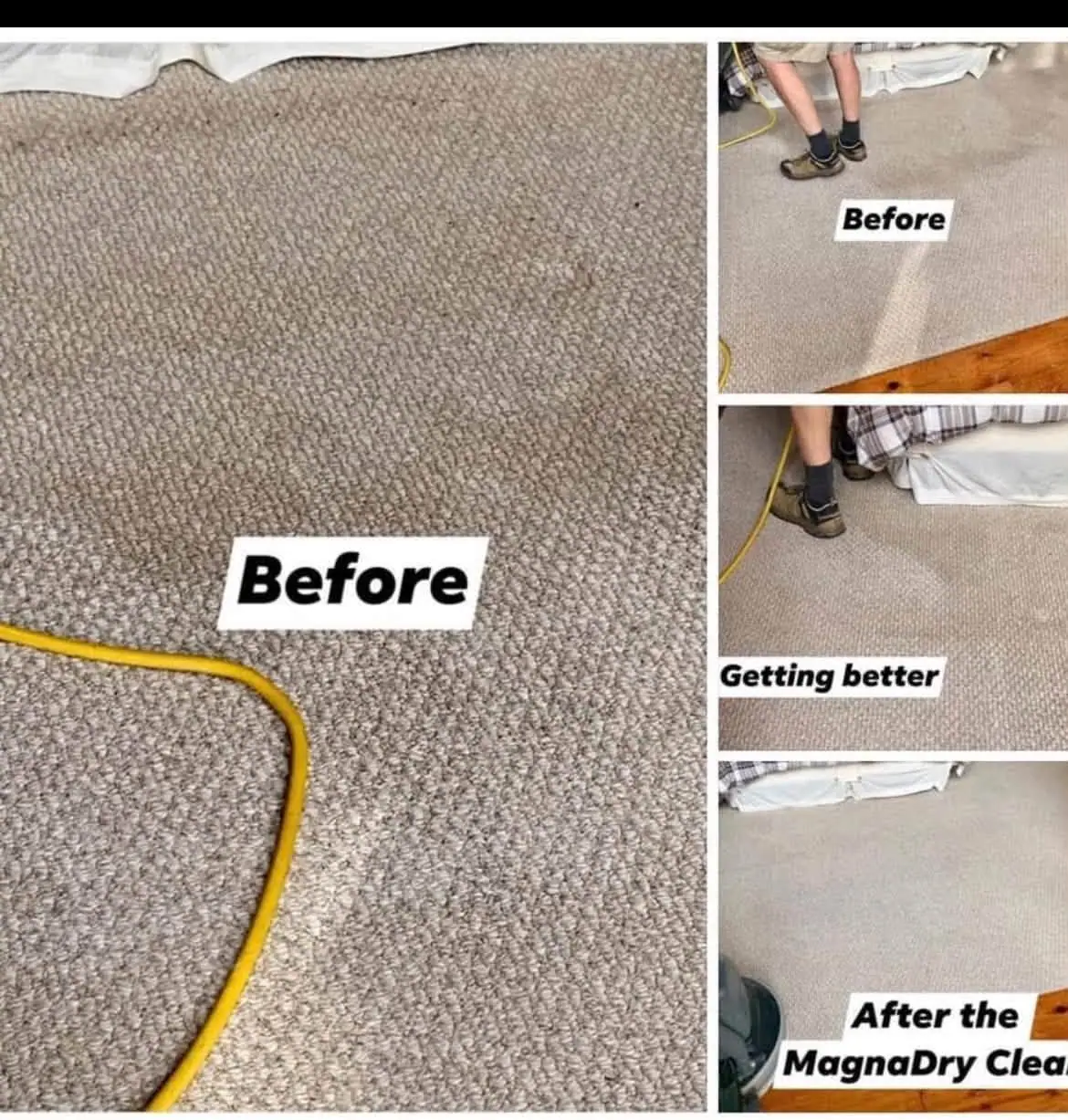 Collage showing carpet before, during, and after cleaning, with a yellow hose and covered furniture.