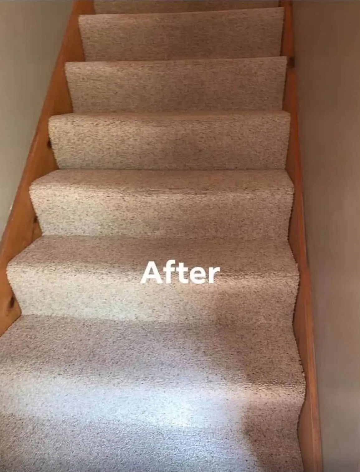 A freshly carpeted staircase viewed from below, with the word “After” overlaid near the center.