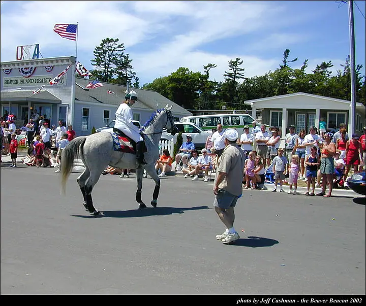 A mounted rider on a gray horse passes spectators during a parade on a sunny street.