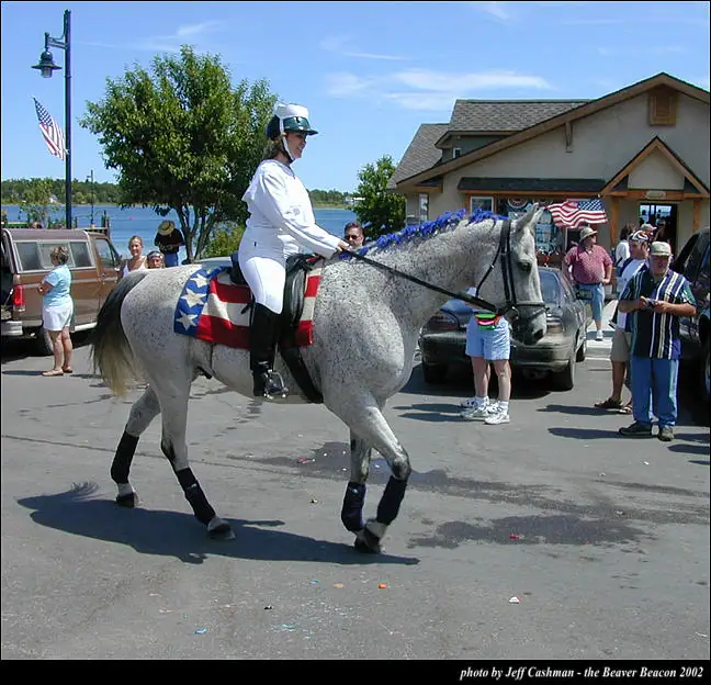 A rider on a decorated gray horse passes spectators during a parade beside a waterfront building.