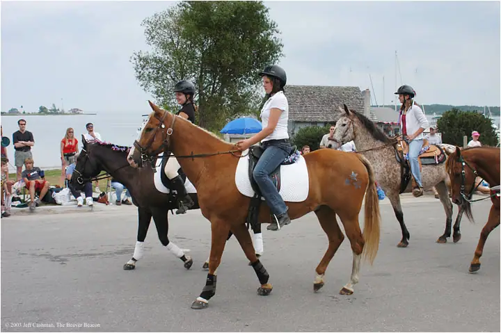 Riders on decorated horses pass spectators along a waterfront street.
