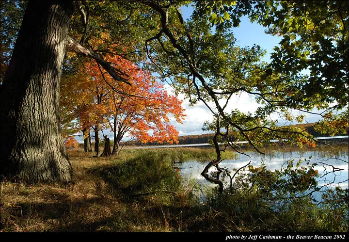Autumn trees and grasses frame a calm shoreline with reflections and a small white photo credit at the bottom.