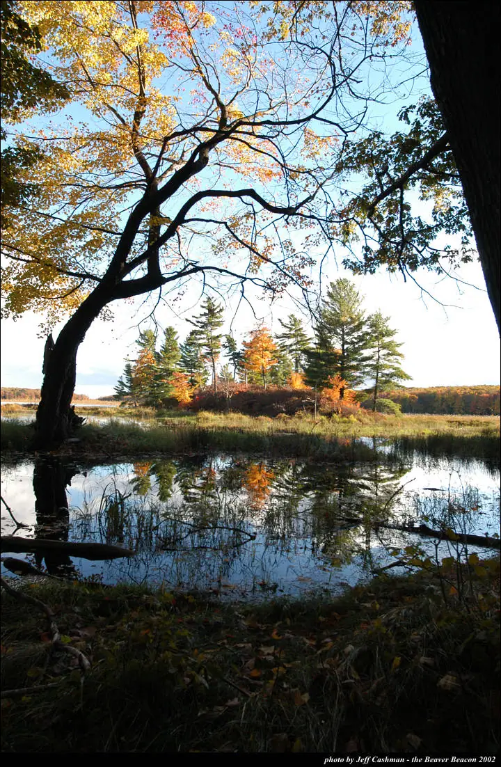 Autumn trees frame a calm pond whose reflective surface mirrors the colorful shoreline and sky.