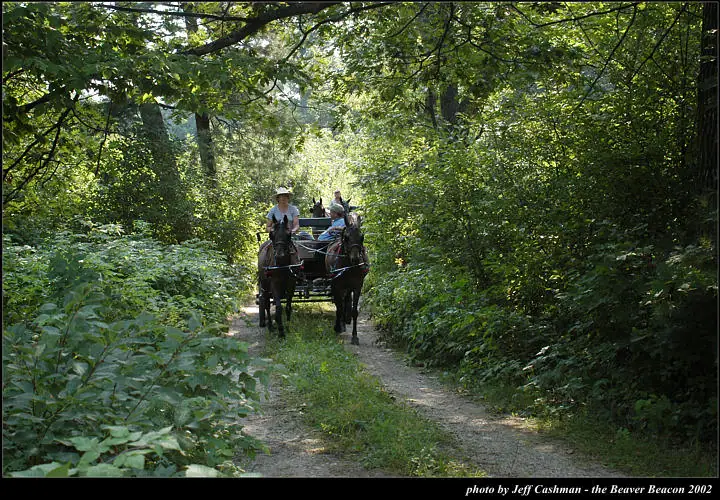 A horse-drawn buggy carrying several people travels along a wooded trail.