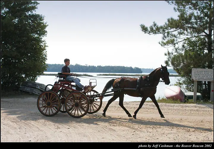 A horse pulls a red buggy along a dirt road beside the water, with a seated person and a signpost nearby.