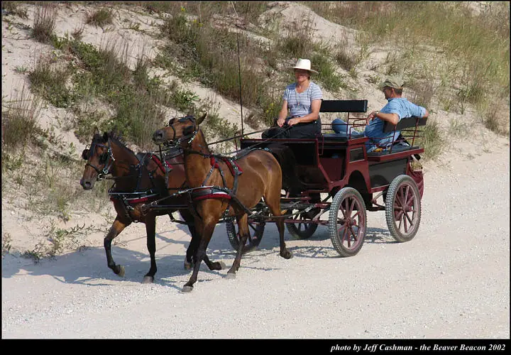 Two horses pull a red carriage with two adults along a sandy track beside grassy dunes.