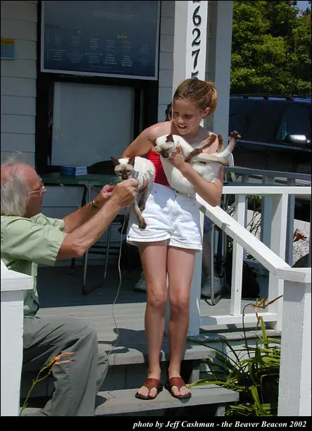 A young woman holds two Siamese cats while an older man reaches toward one on a porch.