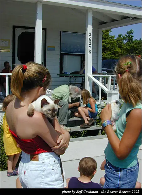 Two girls hold cats on a house porch while other children and adults gather nearby.