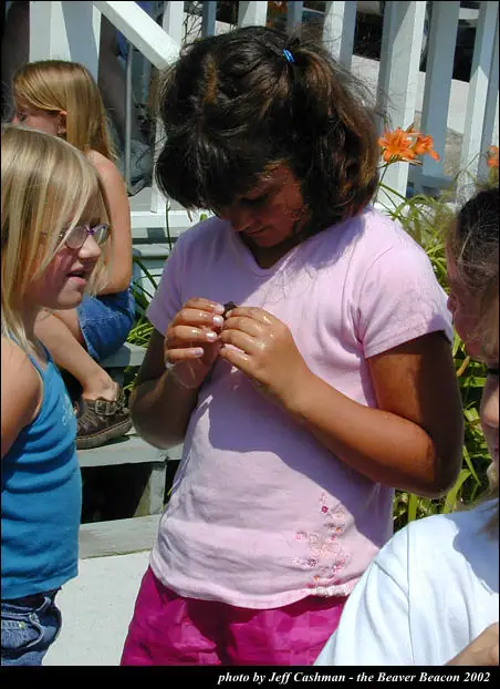 Children gather on a sunlit deck while one examines a small object in her hands.