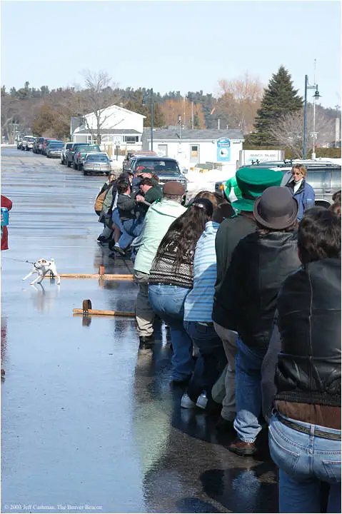 A line of people pulls a wooden sled across an icy surface while a small dog moves ahead.