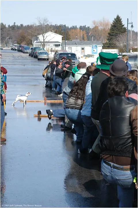 A crowd pulls a rope along a wet street while a small dog stands nearby.