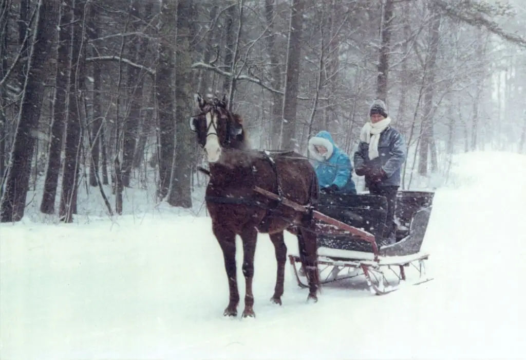 A horse pulls a sleigh carrying two bundled people through a snow-covered forest.
