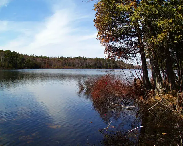 A calm body of water bordered by forest and autumn trees under a partly cloudy sky.