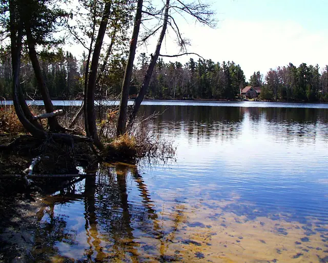 A calm body of water bordered by exposed tree roots, dense woodland, and a small house on the opposite shore.