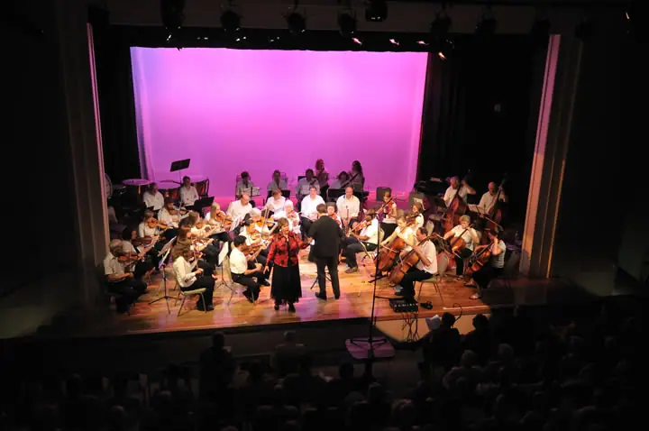 An orchestra performs onstage before a seated audience under pink lighting.