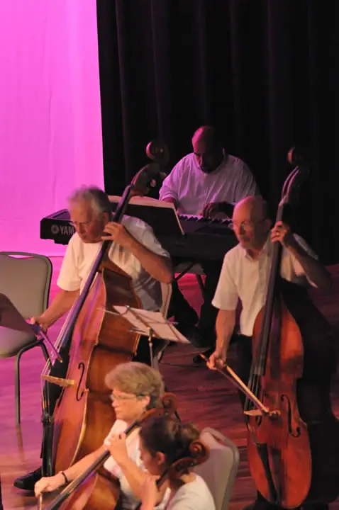 Musicians perform on string instruments and keyboard under pink and purple stage lighting.