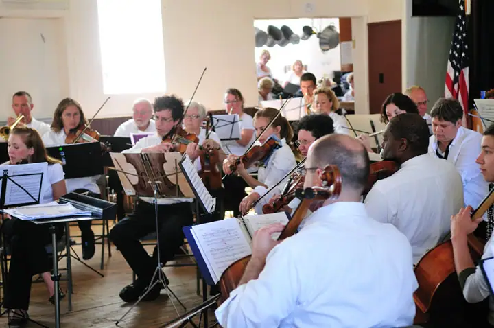 Musicians perform with string instruments and sheet music in an indoor ensemble.