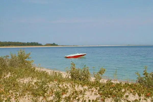 A red-and-white motorboat floats offshore beyond a sandy, vegetated shoreline.