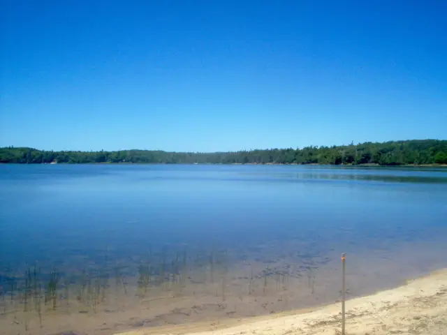 Calm blue water meets a sandy shore, with reeds, a slender pole, and a tree-lined far shore beneath a clear sky.