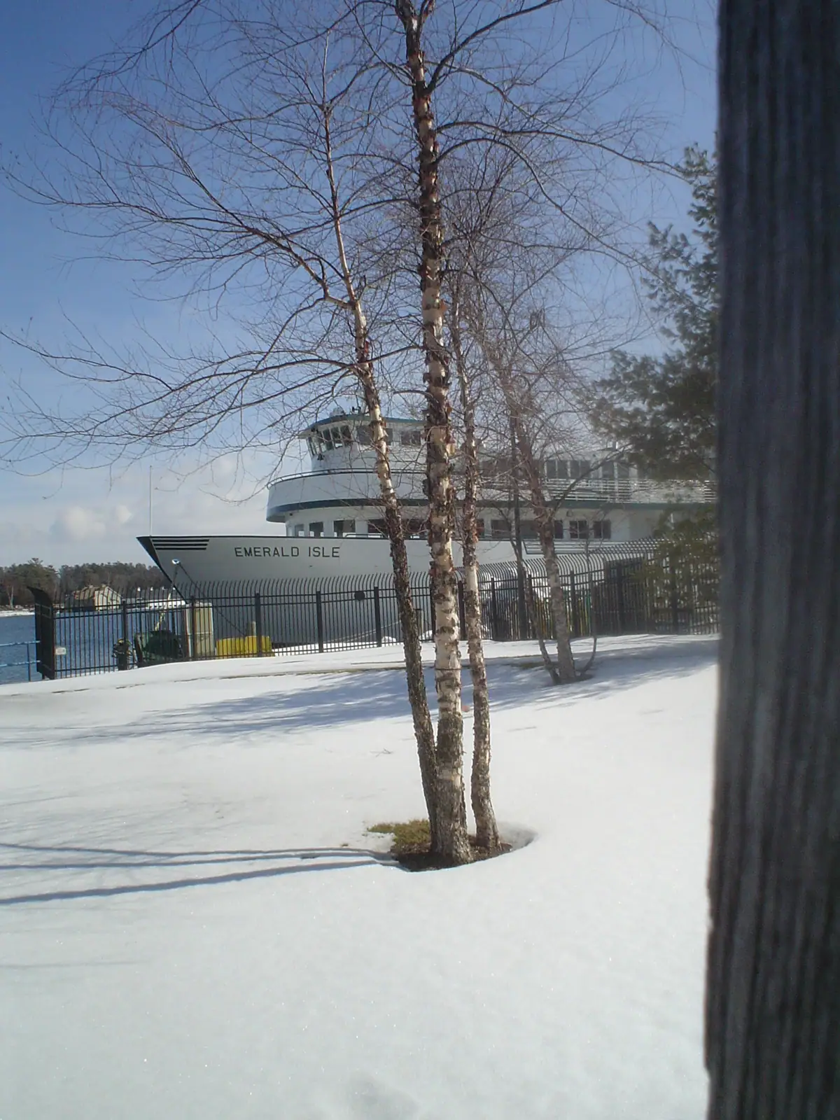 A white ferry sits behind a fence in a snow-covered waterfront setting, viewed through leafless birch trees.