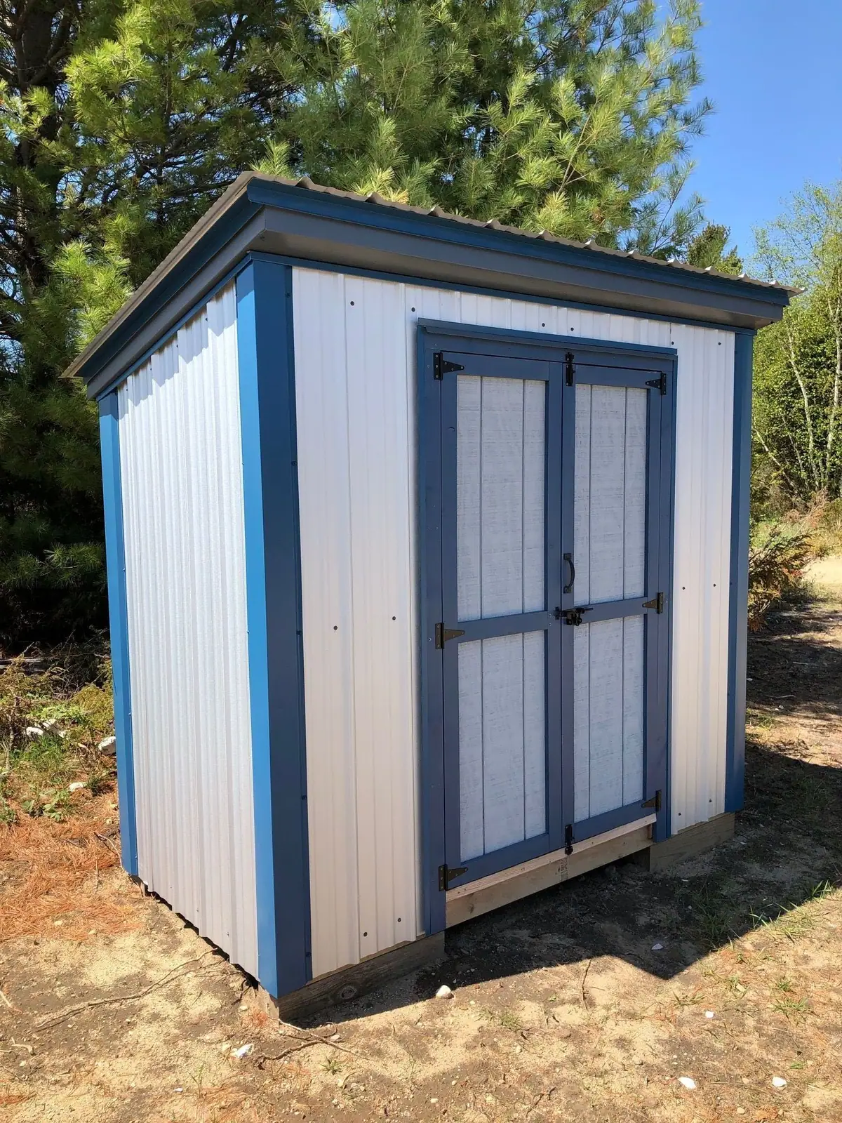 White corrugated-metal shed with blue trim and double doors beside pine trees.