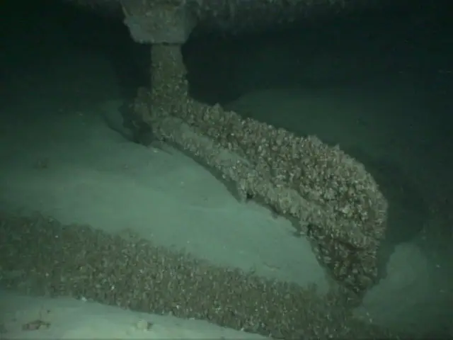 An encrusted submerged structure lies on a sandy bottom in dark green water.