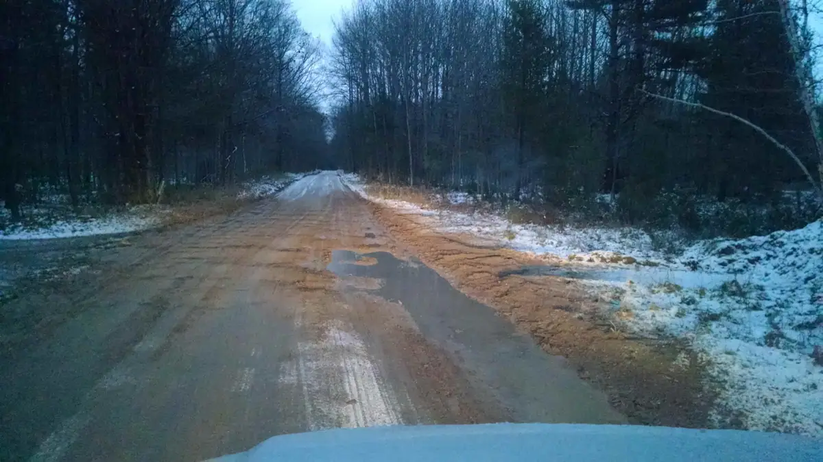 A muddy forest road with puddles, tire tracks, and patches of snow.