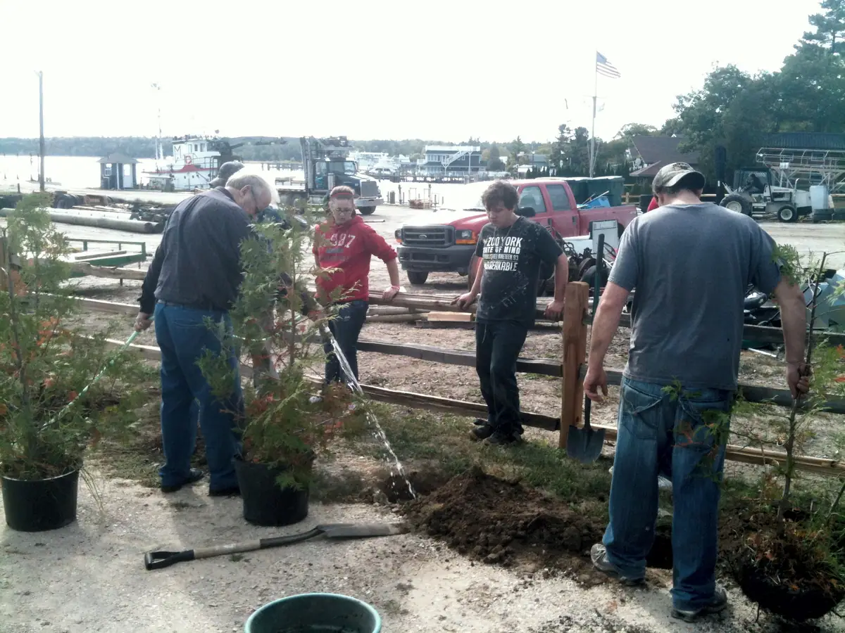 Four people plant and water evergreen trees beside a waterfront dock, with boats and a pickup truck behind them.