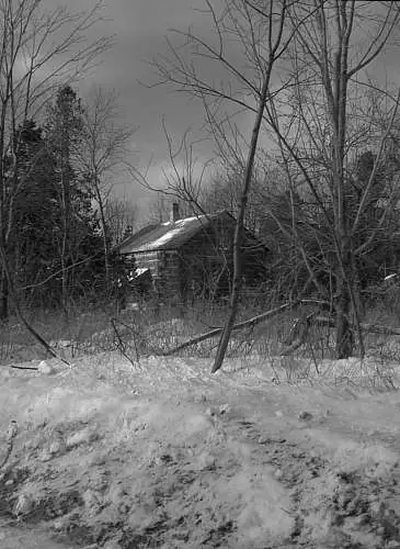 A small snow-covered wooden house stands among leafless and evergreen trees in a winter landscape.