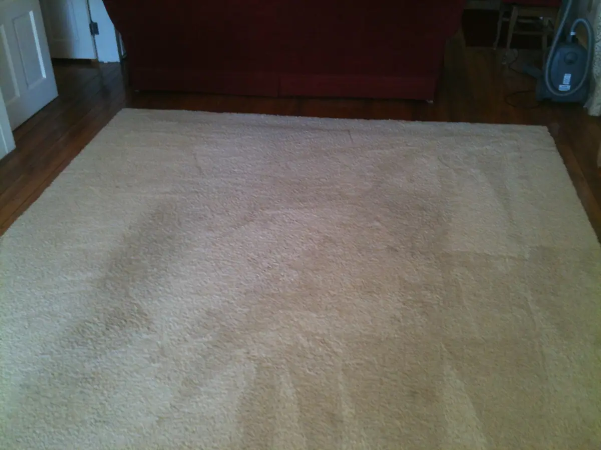 A large cream-colored rug lies on a dark hardwood floor in a room with a sofa, open door, and vacuum cleaner.