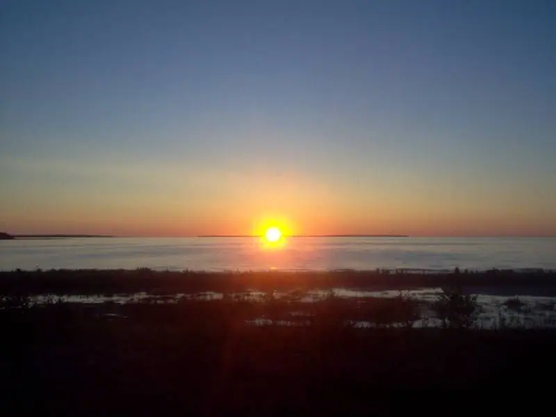 Low sun glowing over calm water beyond a dark, marshy shoreline.